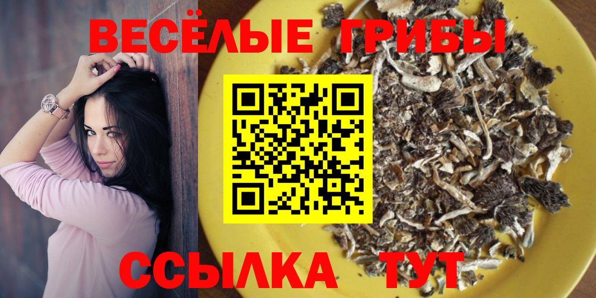 Шелехов  Галлюциногенные грибы прущие грибы  Вход с VPN 